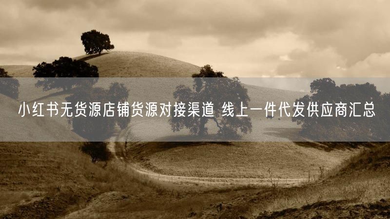 小红书无货源店铺货源对接渠道 线上一件代发供应商汇总