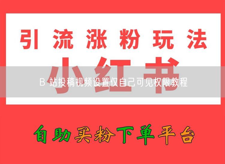 B 站投稿视频设置仅自己可见权限教程
