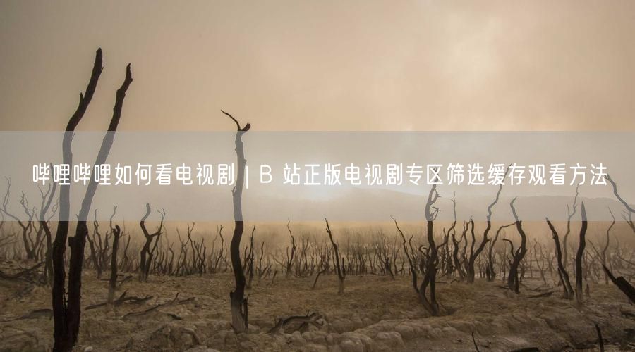 哔哩哔哩如何看电视剧｜B 站正版电视剧专区筛选缓存观看方法