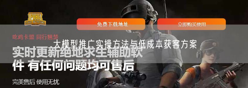 大模型推广实操：低成本获客与精准营销策略
