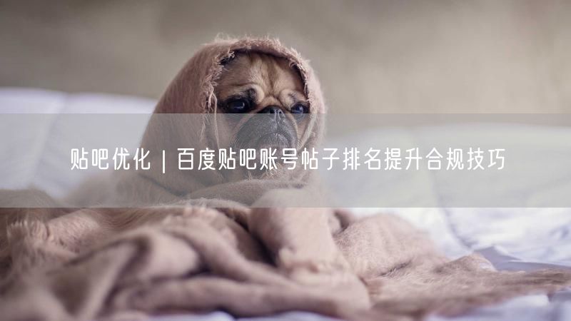 贴吧优化｜百度贴吧账号帖子排名提升合规技巧