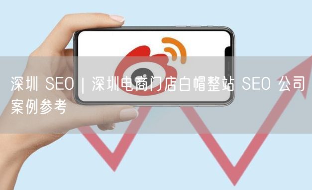 深圳 SEO｜深圳电商门店白帽整站 SEO 公司案例参考