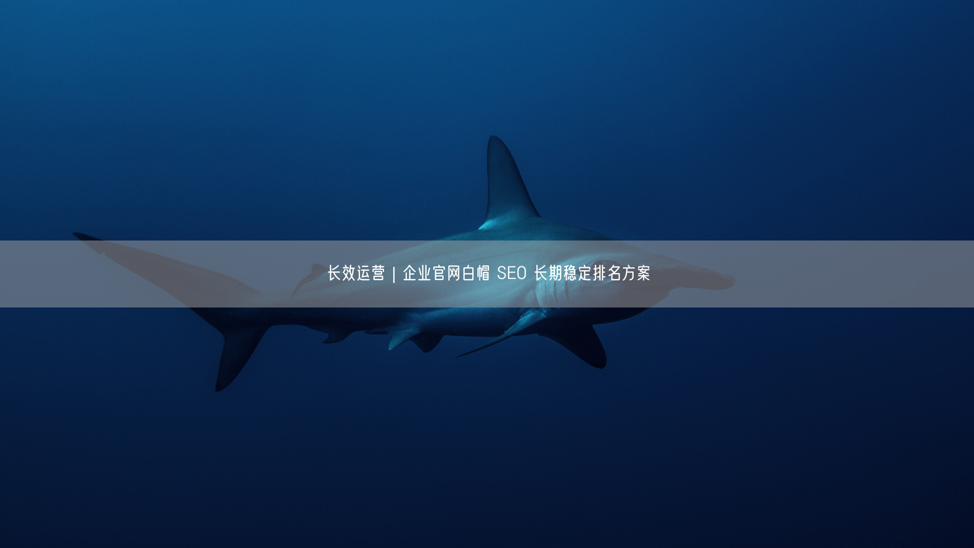 长效运营｜企业官网白帽 SEO 长期稳定排名方案