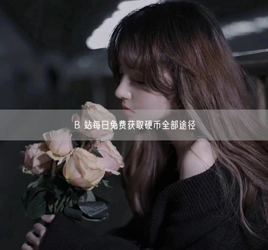 B 站每日免费获取硬币全部途径