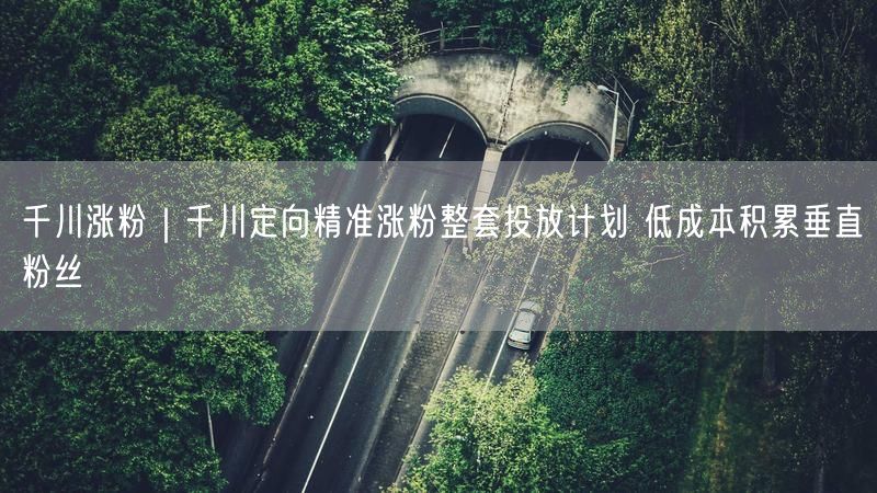 千川涨粉｜千川定向精准涨粉整套投放计划 低成本积累垂直粉丝