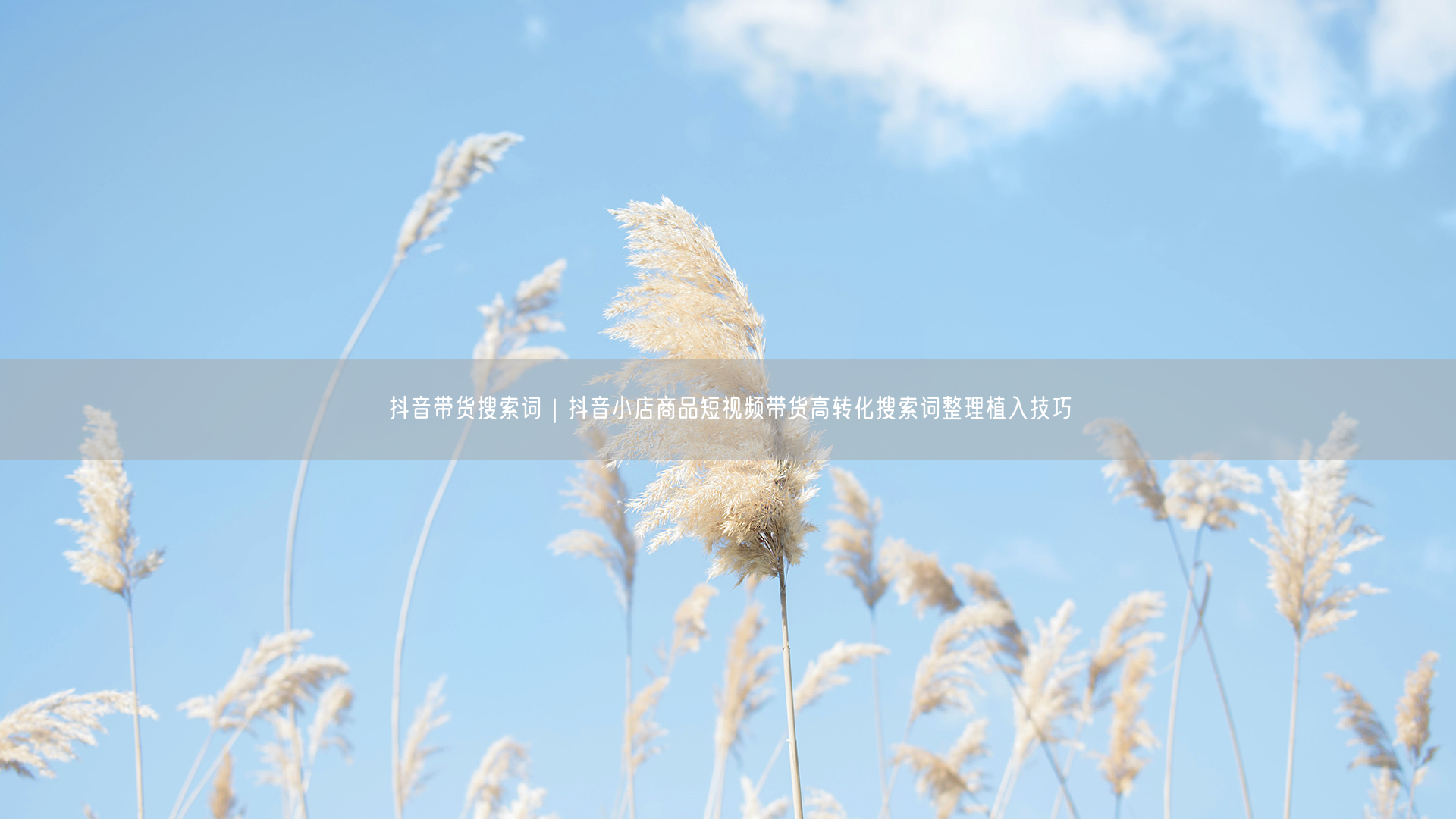 抖音带货搜索词｜抖音小店商品短视频带货高转化搜索词整理植入技巧