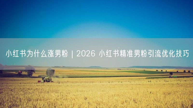 小红书为什么涨男粉｜2026 小红书精准男粉引流优化技巧