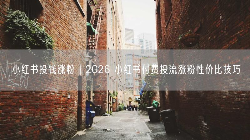2026小红书付费投流：性价比涨粉技巧大揭秘