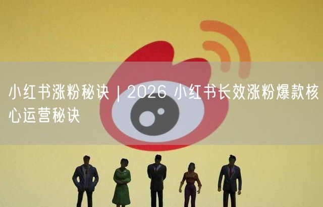 小红书涨粉秘诀|2026 小红书长效涨粉爆款核心运营秘诀
