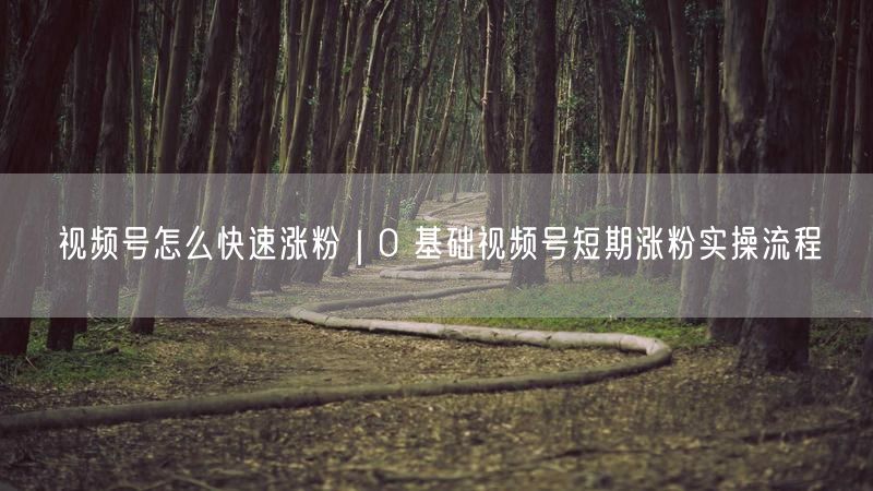 0基础必看！视频号快速涨粉实操技巧与避坑指南