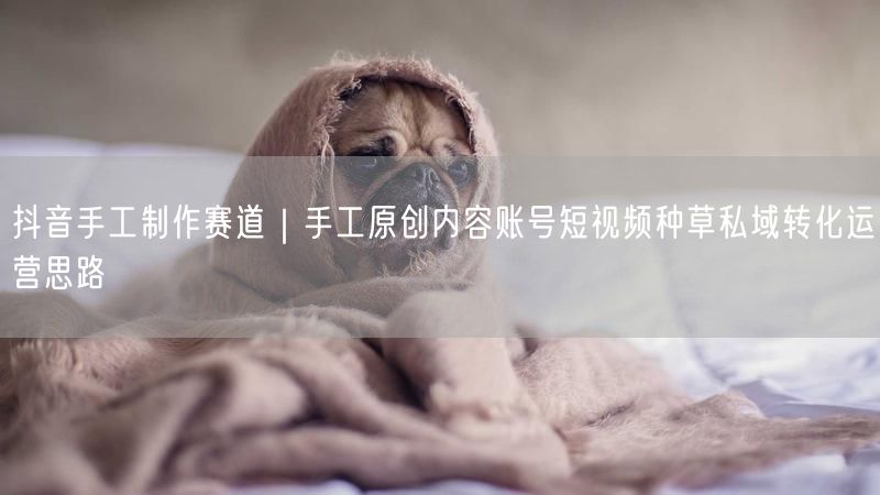 抖音手工制作赛道｜手工原创内容账号短视频种草私域转化运营思路