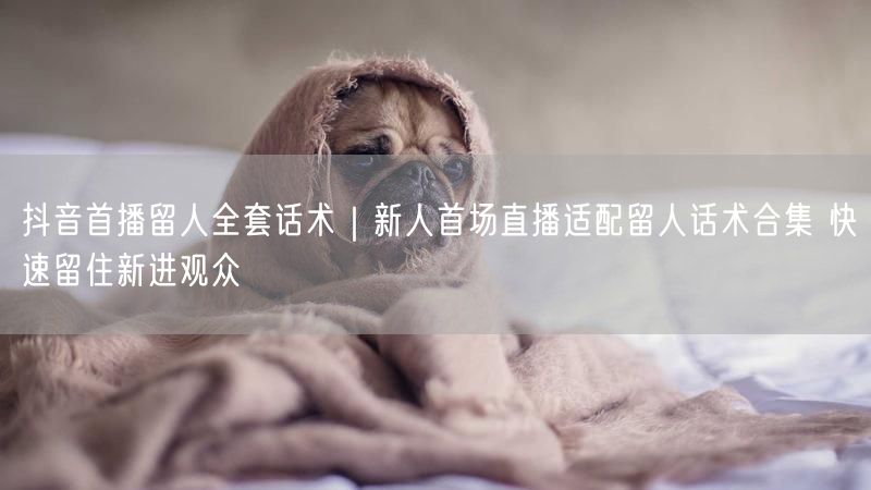 抖音首播留人全套话术｜新人首场直播适配留人话术合集 快速留住新进观众