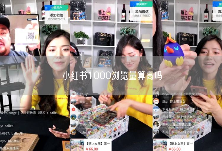 小红书1000浏览量算高吗
