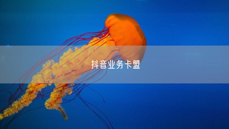 抖音业务卡盟