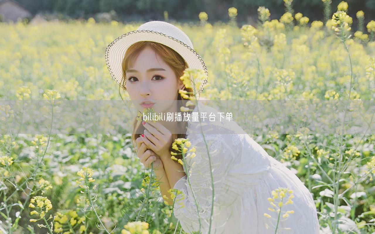 bilibili刷播放量平台下单