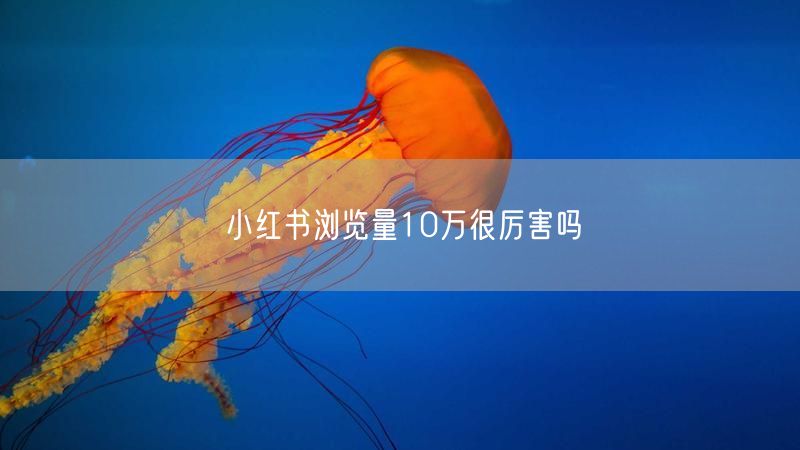 小红书浏览量10万很厉害吗