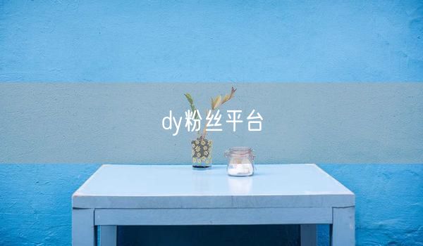 dy粉丝平台
