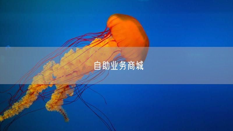 自助业务商城