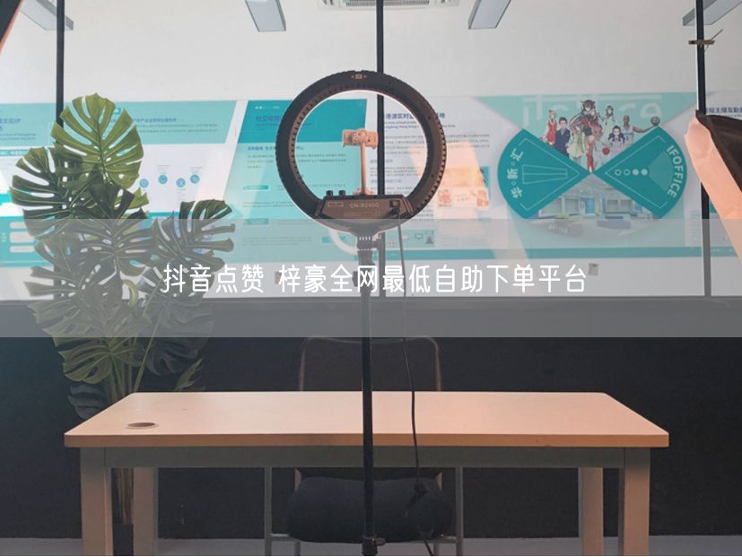 抖音点赞 梓豪全网最低自助下单平台