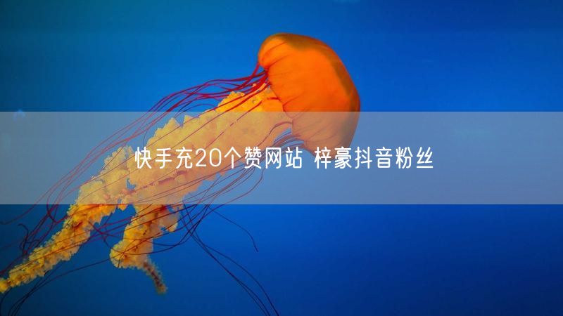 快手充20个赞网站 梓豪抖音粉丝