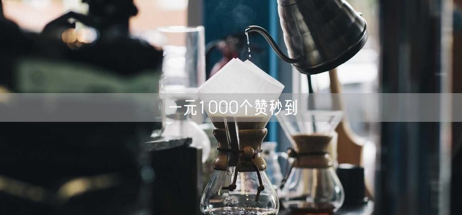 一元1000个赞秒到
