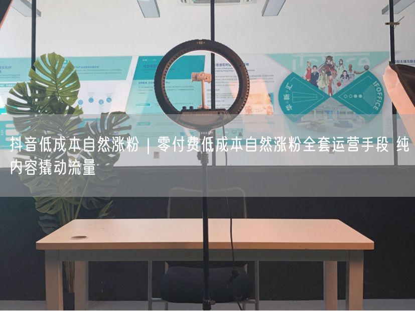 抖音低成本自然涨粉｜零付费低成本自然涨粉全套运营手段 纯内容撬动流量