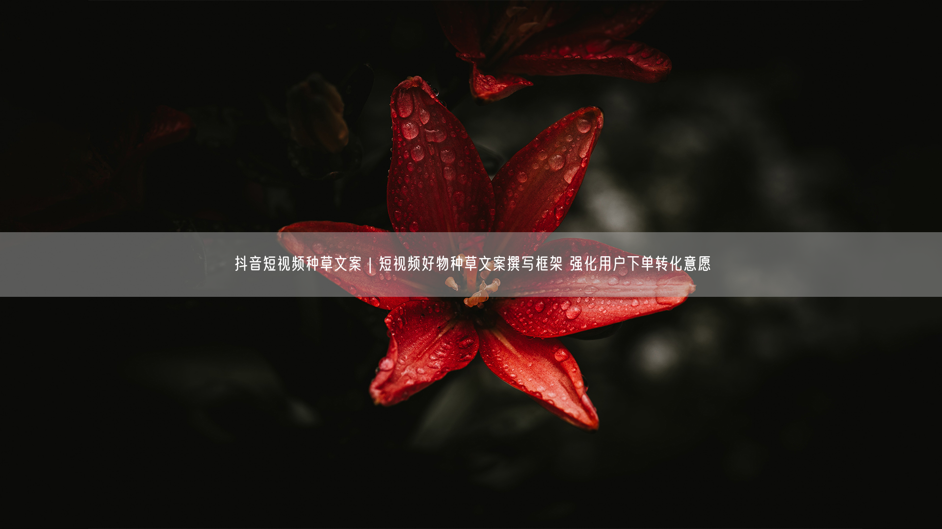抖音短视频种草文案｜短视频好物种草文案撰写框架 强化用户下单转化意愿