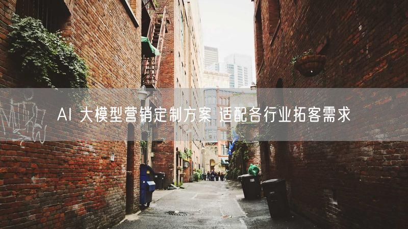 AI 大模型营销定制方案 适配各行业拓客需求