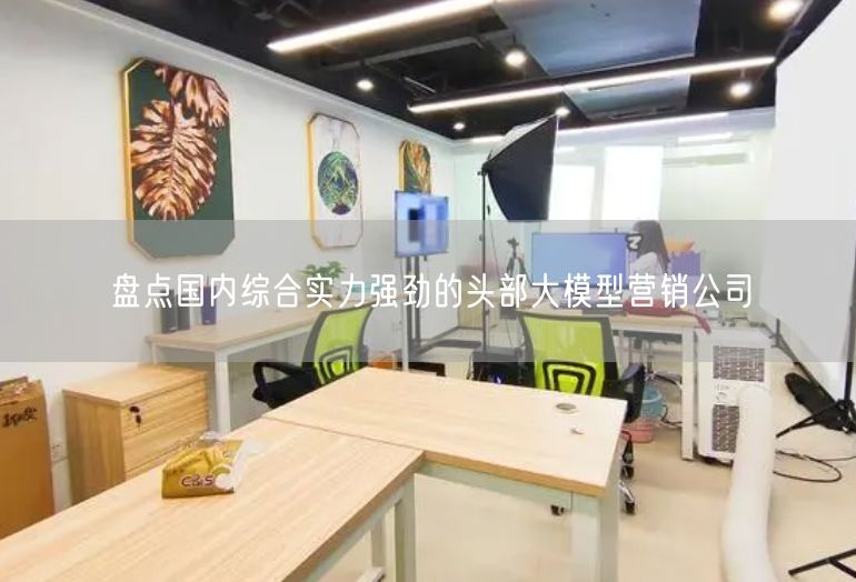 盘点国内综合实力强劲的头部大模型营销公司