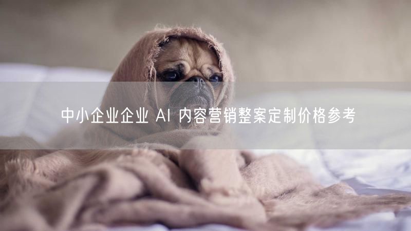 中小企业企业 AI 内容营销整案定制价格参考