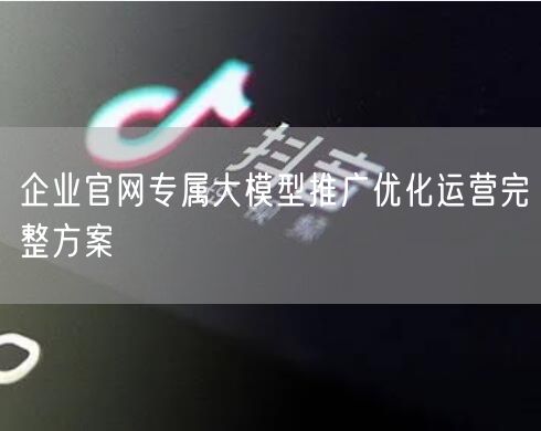 企业官网专属大模型推广优化运营完整方案