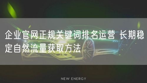 企业官网正规关键词排名运营 长期稳定自然流量获取方法