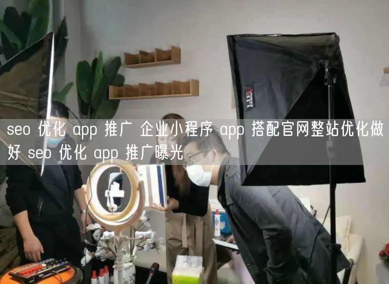 seo 优化 app 推广 企业小程序 app 搭配官网整站优化做好 seo 优
