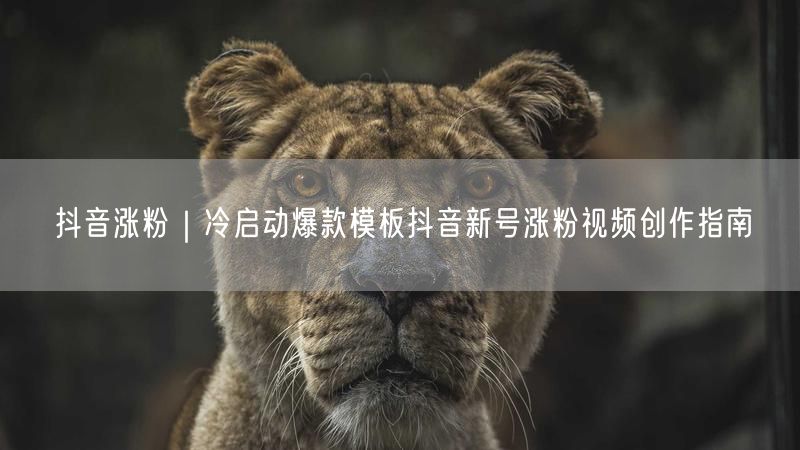 抖音涨粉｜冷启动爆款模板抖音新号涨粉视频创作指南
