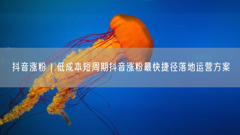 抖音涨粉｜低成本短周期抖音涨粉最快捷径落地运营方案