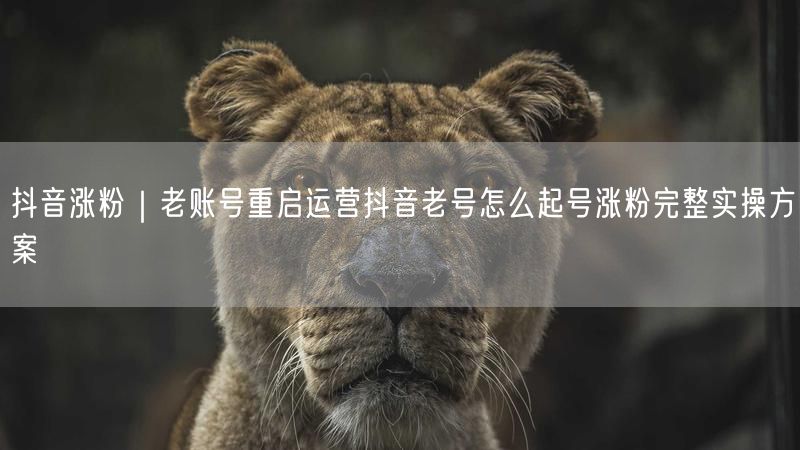 抖音涨粉｜老账号重启运营抖音老号怎么起号涨粉完整实操方案