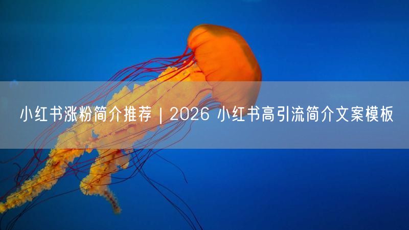 小红书涨粉简介推荐｜2026 小红书高引流简介文案模板