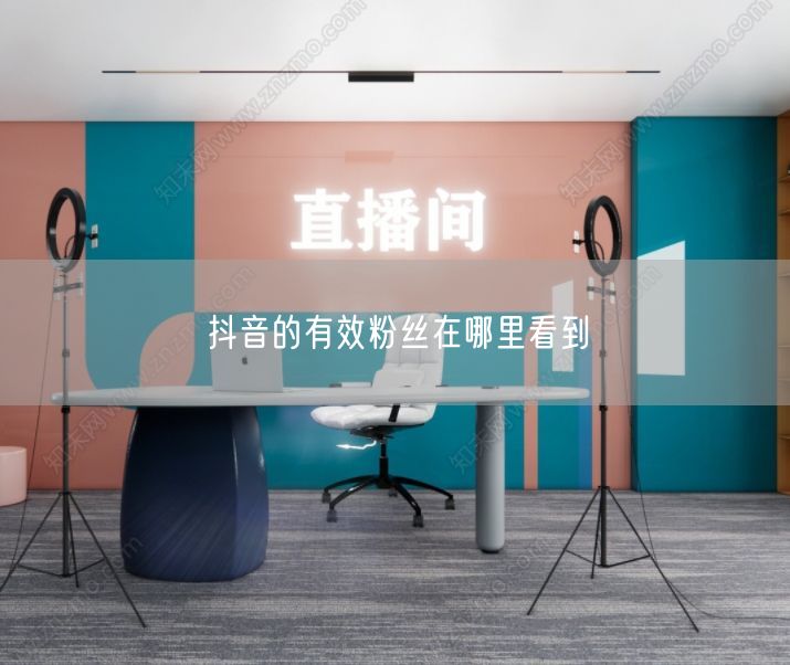 抖音的有效粉丝在哪里看到