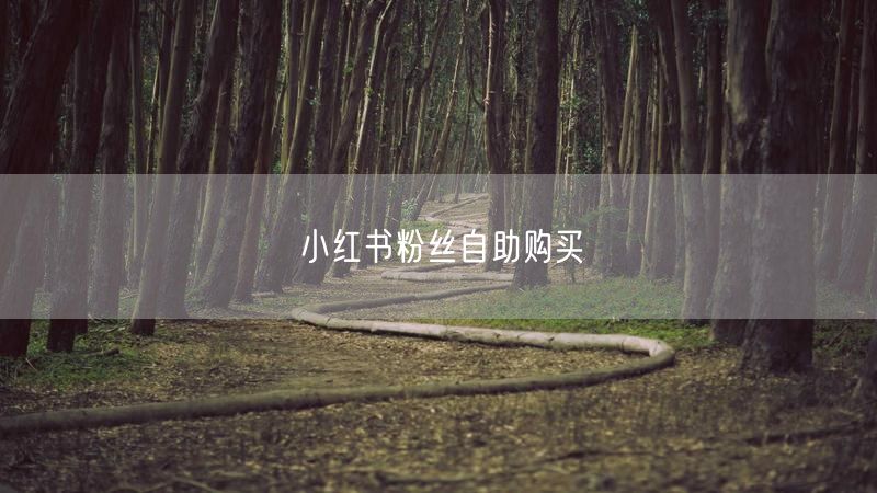 小红书粉丝自助购买