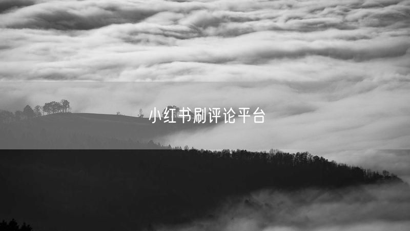 小红书刷评论平台