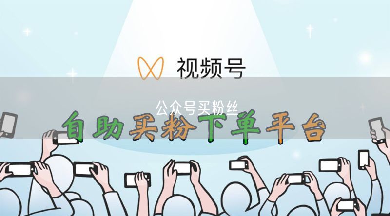 公众号买粉丝