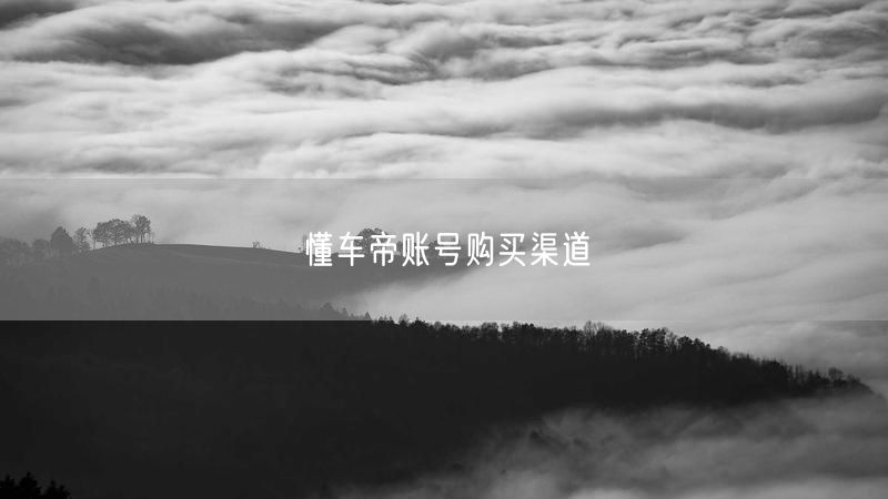 懂车帝账号购买渠道