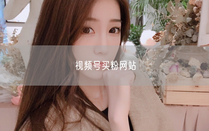 视频号买粉网站