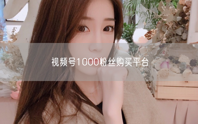 视频号1000粉丝购买平台