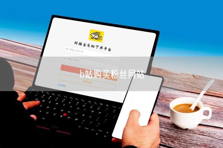 b站购买粉丝网站