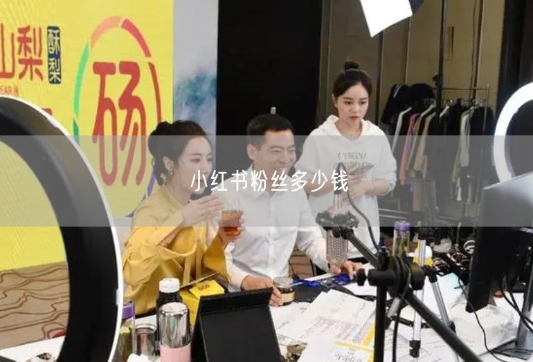 小红书粉丝多少钱