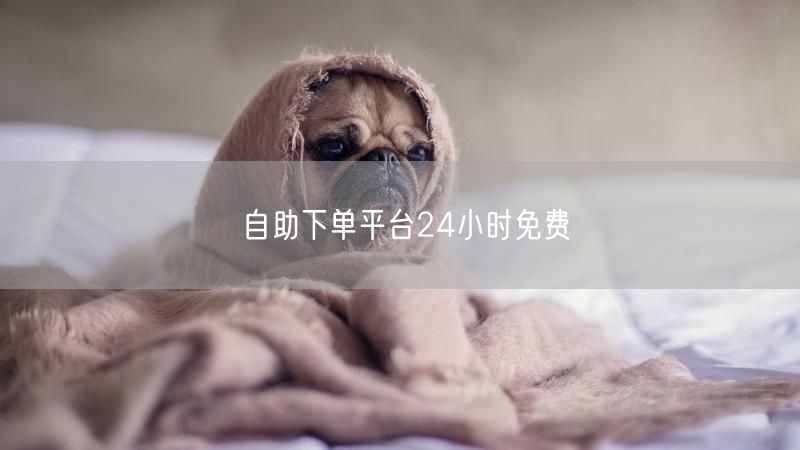 自助下单平台24小时免费