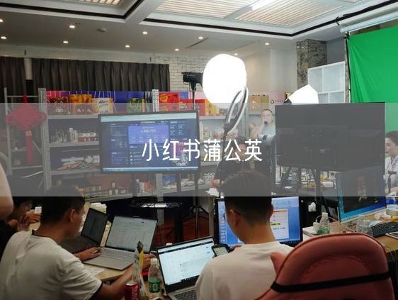 小红书蒲公英