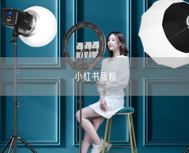 小红书涨粉