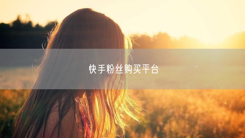 快手粉丝购买平台